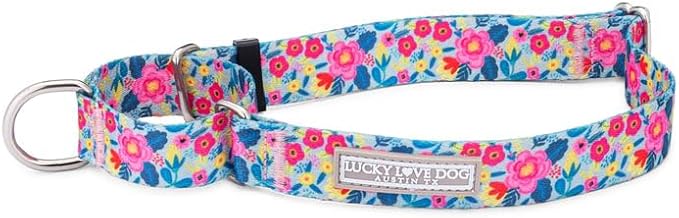 Lucky Love Dog Martingale Dog Collar - Adjustable, No-Slip, Durable, & Soft Webbing Collar for Male and Female Dogs Ideal for Training & Walking - Valentina, Small