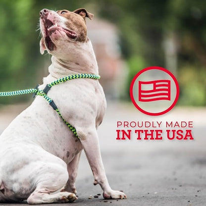 Harness Lead No Pull Dog Harness and Leash Set, Anti Pull Dog Harness, One-Piece Cushioned Rope Safely Prevents Escaping and Pulling (Small/Medium, Reef)