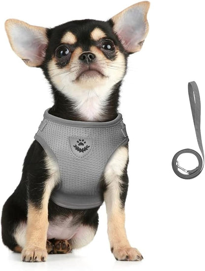 FEimaX Dog Harness and Leash Set for Walking, Soft Mesh Adjustable Easy Control Lightweight Cat Vest Harnesses with Reflective Strips, Escape Proof Small Dogs Cats Vests