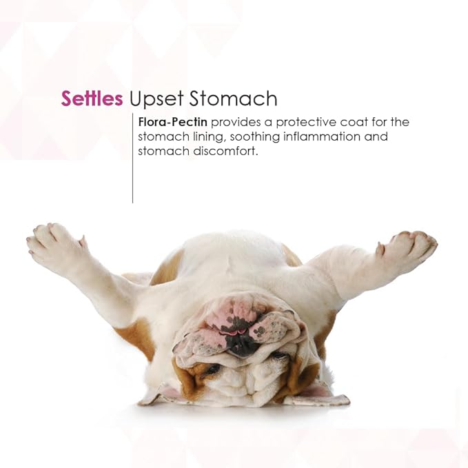 Oral Paste for Dogs & Cats – Fast Diarrhea Relief & Firm Stool Support, Helps Upset Stomach, Reduces Occasional Loose Stool, Balances Gut pH & Supports Normal Digestion (30 CC, Tasty Chicken Flavor)