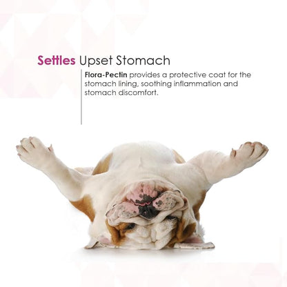 Oral Paste for Dogs & Cats – Fast Diarrhea Relief & Firm Stool Support, Helps Upset Stomach, Reduces Occasional Loose Stool, Balances Gut pH & Supports Normal Digestion (30 CC, Tasty Chicken Flavor)