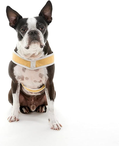 Gooby Simple Step in III Harness - Yellow, Medium - Small Dog Harness with Scratch Resistant Outer Vest - Soft Inner Mesh Harness for Small, Medium Dogs