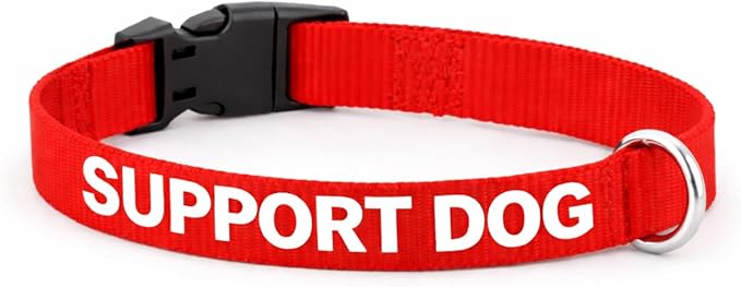 Service Dog Collar & Emotional Support Animal (ESA) Collar with Metal ID Tag + 3 Information Cards – Adjustable Heavy-Duty Nylon | ALL ACCESS CANINE