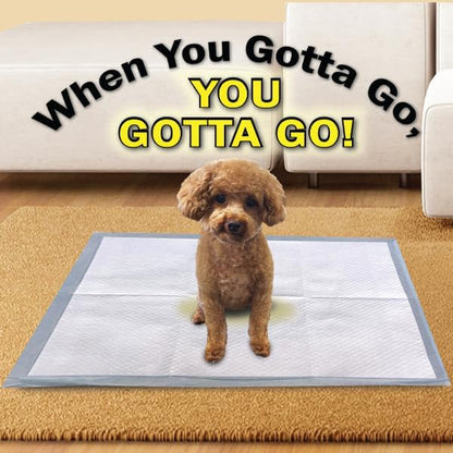 Scoochie Pets Large Dog Training Pads - 100 Pack Puppy Pads, 22 x 22 Absorbent Sheets for Adult & Young Pets - Convenient Box of Leak-Proof Pee Pads for Dogs, Ideal for Home & Travel