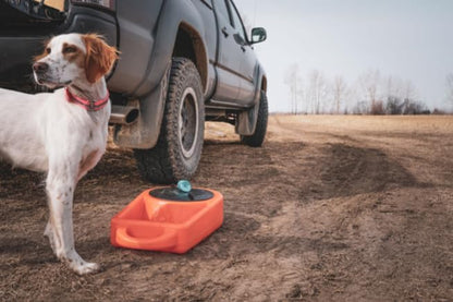 Dakota 283 Dine N Dash Feeding System - Orange