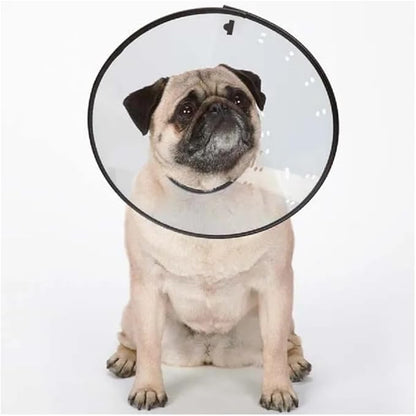 Elizabethan Dog and Cat Collars Recovery Vet Chewing Healthy Behavior Cone of Shame (Clear, Small - Fits 6.5" to 12" Necks)