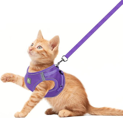 FEimaX Dog Harness and Leash Set, No-Pull Breathable Soft Mesh Puppy Vest Harness Reflective Adjustable Pet Harnesses for Small Medium Dogs and Cats - Outdoor Easy Control for Walking (XS, Purple)