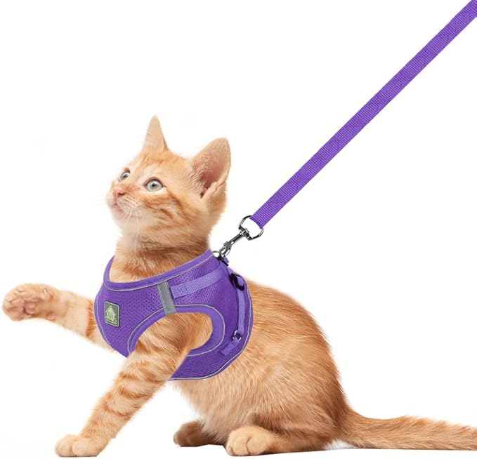 FEimaX Dog Harness and Leash Set, No-Pull Breathable Soft Mesh Puppy Vest Harness Reflective Adjustable Pet Harnesses for Small Medium Dogs and Cats - Outdoor Easy Control for Walking (L, Purple)