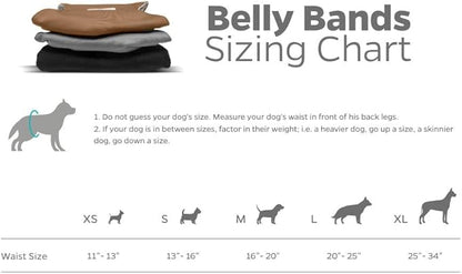 Pet Parents® Washable Belly Bands for Male Dogs (3pack) + Extendrs® of Durable Dog Diapers Male, Premium Male Dog Diapers & Dog Wraps (Large, Natural)