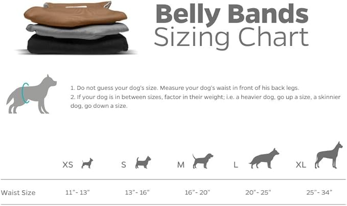 Pet Parents® Washable Belly Bands for Male Dogs (3pack) + Extendrs® of Durable Dog Diapers Male, Premium Male Dog Diapers & Dog Wraps (Small, Natural)