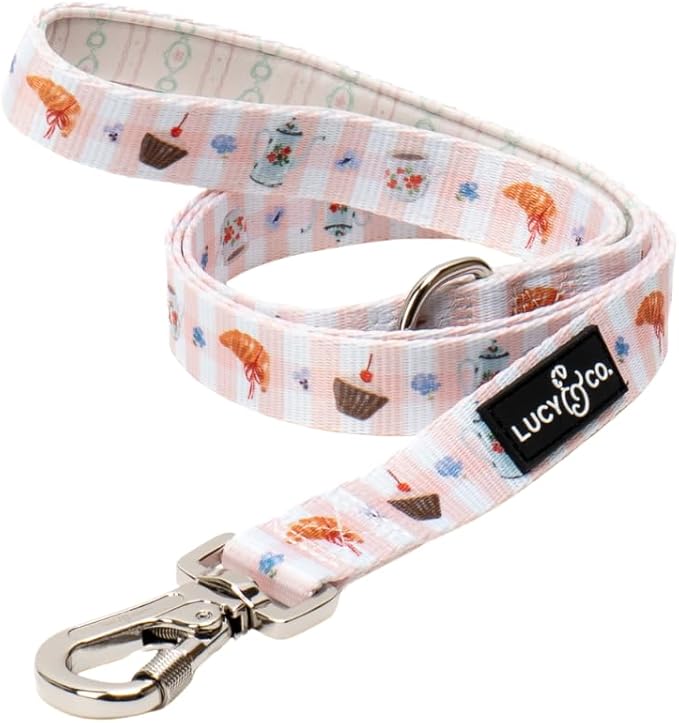 Lucy & Co. Sipping Slowly Dog Leash, Durable Matching Dog Lead with Heavy Duty Hardware, Small