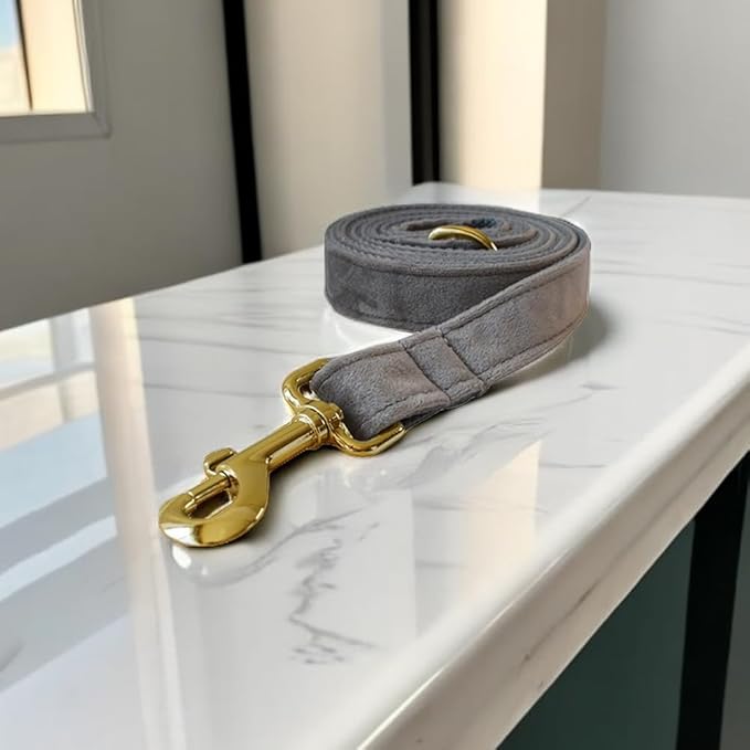 Love Dream Velvet Dog Collar and Leash Set, Soft & Comfy Adjustable Dog Leash and Collar with Heavy Duty Metal Buckle for Small Medium Large Dogs Training & Walking (Medium, Grey)
