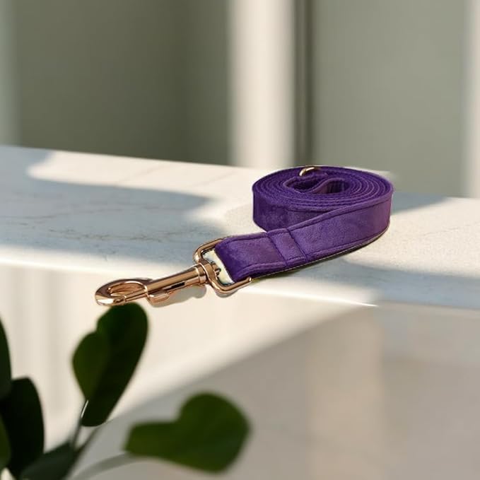 Love Dream Velvet Dog Collar and Leash Set, Soft & Comfy Adjustable Dog Leash and Collar with Heavy Duty Metal Buckle for Small Medium Large Dogs Training & Walking (XLarge, Dark Purple)