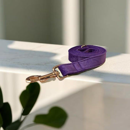 Love Dream Velvet Dog Collar and Leash Set, Soft & Comfy Adjustable Dog Leash and Collar with Heavy Duty Metal Buckle for Small Medium Large Dogs Training & Walking (XLarge, Dark Purple)