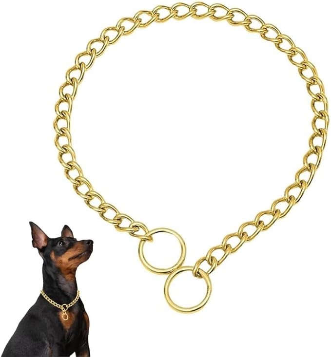 Chain Choke Collar for Dogs, Metal Slip Link Training Heavy Duty Dog Collar Martingale Puppy Collars for XXS XS Small Medium Large Big XL Breed Dogs (Gold, S(Neck Max 16inch) D2.5mm)