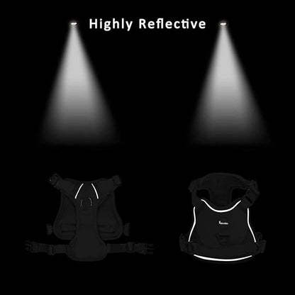 Petmolico No Pull Dog Harness and Leash Set, No Choke 4 Leash Attchments Easy Control Handle Soft Padded Reflective Vest Dog Harness for Medium Dog Breed, Daisy Medium