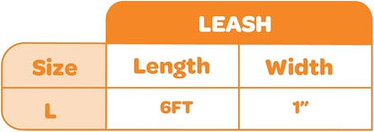 Best Pet Supplies Voyager Reflective Dog Leash or Collar with Neoprene Handle, for Small, Medium, and Large Breed Puppies, Cute and Heavy Duty for Walking, Running and Training - Orange (Leash), L