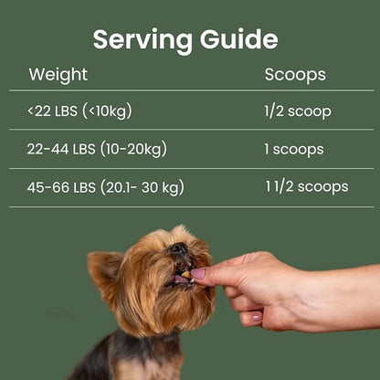 Dog Probiotic Powder for Digestive Support | 5 Billion CFU | Gut Health & Immunity Support | Mix-in Powder | 60g | Unflavoured (60g)