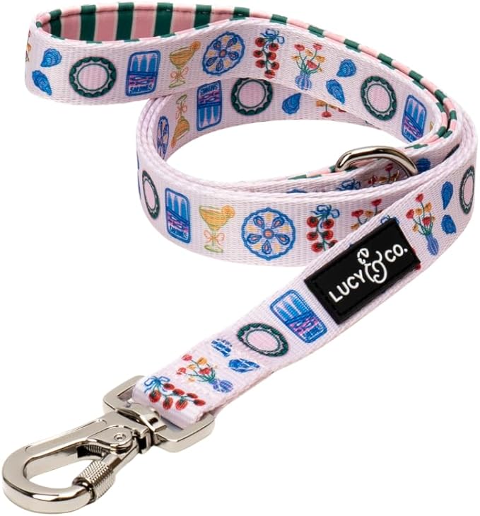 Lucy & Co. Dolce Vita Dog Leash, Durable Matching Dog Lead with Heavy Duty Hardware, Large
