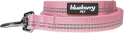 Blueberry Pet 3M Reflective Pastel Color Dog Leash with Soft & Comfortable Handle, 4 ft x 1", Baby Pink, Large, Leashes for Dogs