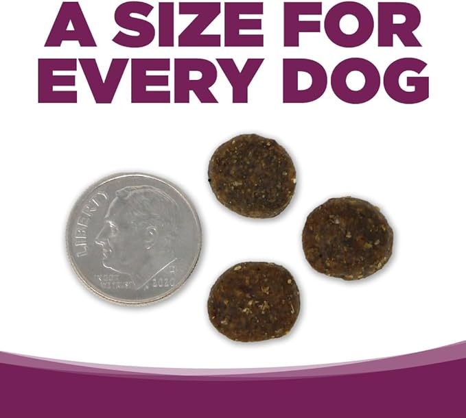 NutriSource Pure Vita Grain Free Pork & Blueberry Dog Food, 4LB