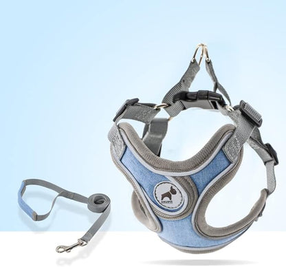 Dog Harness with Leash Set, No Pull Adjustable Step in Collars Harness with Breathable Padded Vest for Small Medium Large Dogs Training and Running(S, Blue)