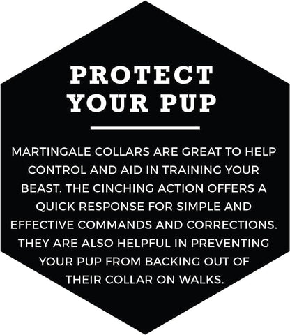 Wolfgang Heavy Duty Martingale Dog Collar with Quick Release Nylon Buckle for Walking & Training, Daydream Print, Medium