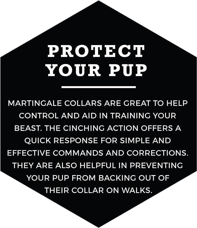 Wolfgang Heavy Duty Martingale Dog Collar with Quick Release Nylon Buckle for Walking & Training, BuenaOnda Print, Small