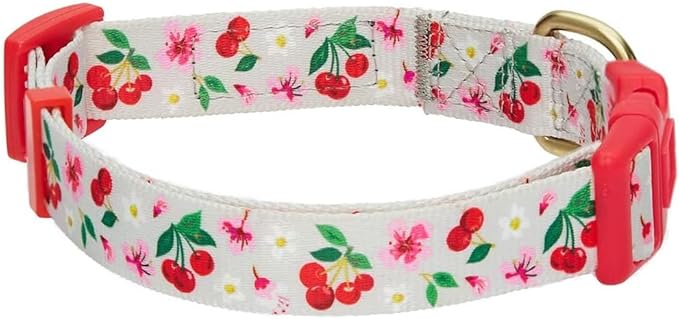 Blueberry Pet 7 Patterns Cherry Garden Grey Adjustable Dog Collar with Dainty Flowers, Medium, Neck 14.5"-20"