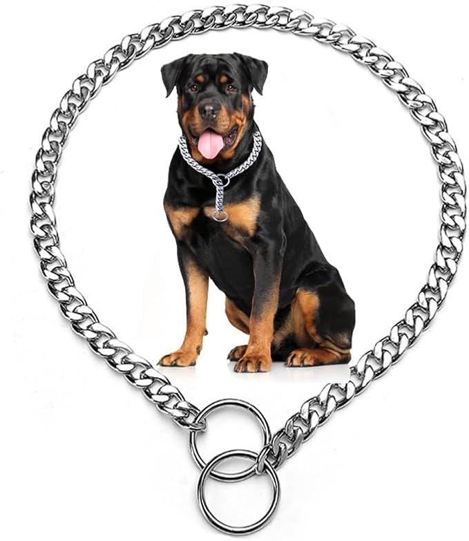 Silver Dog Chain Collars for Medium Dogs, Training Slip P Metal Link Duty Martingale Collar for XS Small Medium Large Breed Dogs,M