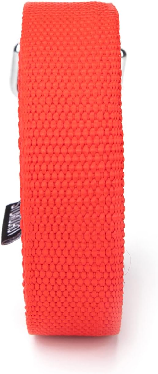 Strong Durable Nylon Dog Training Leash, 1 Inch Wide Traction Rope, 6 ft 10ft 15ft Long, for Small and Medium Dog (Red, 10 Feet)