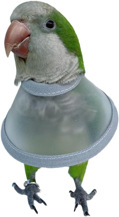 Adjustable Parrot Cone Collar, Safe and Practical Cotton Collar to Prevent Bites and Licking Wounds, to Help heal (M)