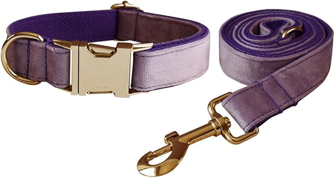 Love Dream Velvet Dog Collar and Leash Set, Soft & Comfy Adjustable Dog Leash and Collar with Heavy Duty Metal Buckle for Small Medium Large Dogs Training & Walking (Medium, Purple)