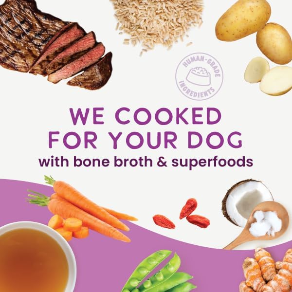 Health Extension Gently Cooked Beef & Potato Dog Food, Human-Grade and Shelf-Stable with Superfoods, Supports Digestion, Immunity, Skin & Coat, 9 oz Pouch (Pack of 10)