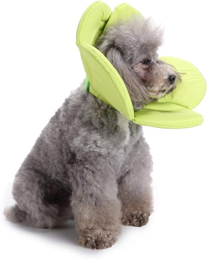 Dogs Cats Medical Grooming Pet E-Collar Recovery Remedy Protective Dog Lick Caught Soft Sponge Adjustable Postoperative Kit for Small and Medium Dog (Green, L (neck's Girth 12.6" to 13.3"))