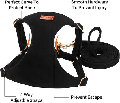 No Pull Dog Harness- Lightweight, Soft, Adjustable Small Harness Collar and Leash Set, Suitable for Cats Puppy Small and Medium-Sized Dog Outdoor Training and Running (Black, M)