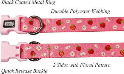 Dog Collar Leash Set, Floral Pattern, Polyester Material, Adjustable Collar and 5ft Matchcing Leash, for Puppy Dogs.(XS, Daisy and Strawberry)