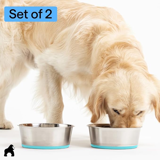 GORILLA GRIP Dog Bowls, Food Grade 304 Stainless Steel Holds 6 Cups Each (48 fl oz) Food and Water Bowl for Feeding Dogs and Cats Dishwasher Safe Rust Resistant BPA Free Rubber Base Set of 2 Turquoise