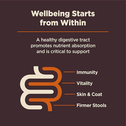 Wellness CORE Digestive Health Small Breed Adult Dry Dog Food, Wholesome Grain Kibble, Sensitive Stomach, Natural, High Protein, Chicken Recipe, 12 lb Bag