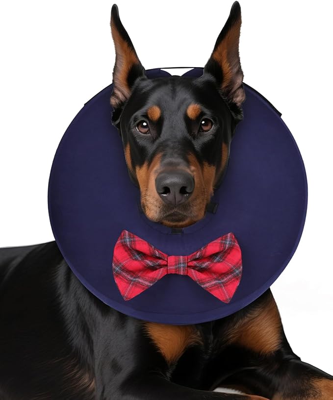 MIDOG Dog Cone Collar for Large Medium Dogs, Soft Inflatable Dog Cone Alternative After Surgery, Adjustable Protective Recovery Cone - Alternative E Collar Does Not Block Vision (Bow Tie,L+)