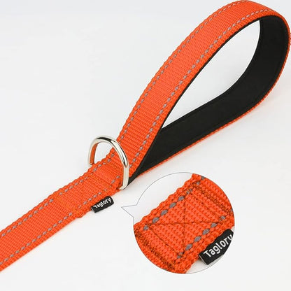 Taglory 16-24" Dog Collar & 4 FT Leash Set, Reflective, Adjustable, Safety Locking Buckle for Large Dogs
