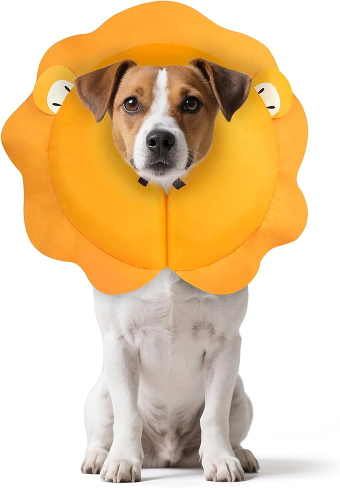 MIDOG Inflatable Dog Cone Collar, Lion Mane Soft Dog Cone Alternative After Surgery with 40% Extra Protection Area Anti-Lick, Adjustable Donut Recovery Collar for Large Medium Small Dogs (Lion, S)