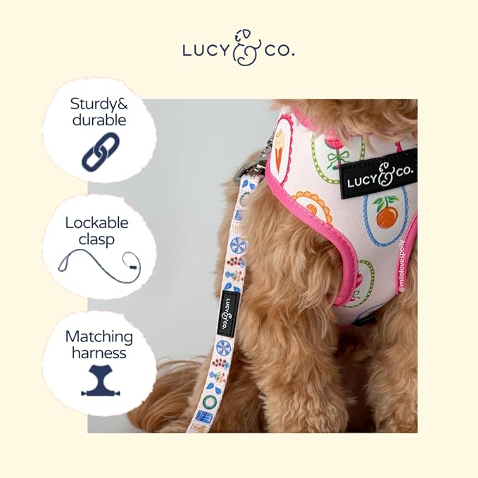 Lucy & Co. Dolce Vita Dog Leash, Durable Matching Dog Lead with Heavy Duty Hardware, Large