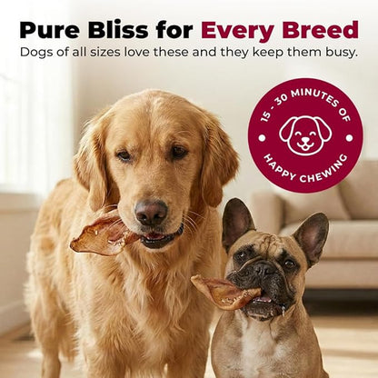 Best Pet Supplies GigaBite Roasted Pig Ears for Dogs - Natural Dog Chews, Roasted Pigs Ears, Safe for Puppies and Aggressive Chewers, Cleans Teeth and Gums - Premium Slivers, 1.8 Pounds