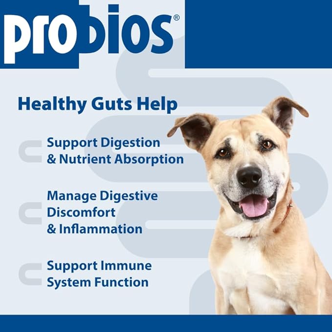 Probios for Dogs Soft Chews, Probiotics for Dogs, Daily Supplement for Gut Health, Digestion & Immune Support, Medium & Large Breeds, 8.46oz