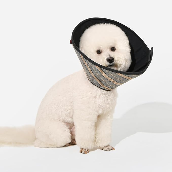 Puppia Dandy Cone Collar for Dogs After Surgery Fashionable Comfortable Pet Recovery Collar Elizabethan Dog Collar, Black, Medium