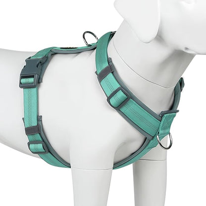 Plutus Pet No Pull Dog Harness, Adjustable Nylon Harness with Soft Padding, Reflective and Heavy Duty Dog Harness for Small, Medium, Large Dogs(Teal, M)