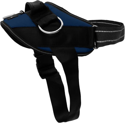 ShawnCo Essential Dog Harness, No-Pull Pet Vest with 3 Leash Clips, No Choke, Reflective, Adjustable and Padded, for Easy Walking and Training for Small, Medium and Large Dogs (Pacific Blue, XL)