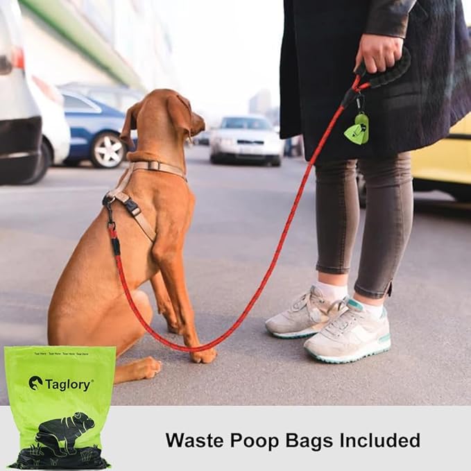 Taglory Rope Dog Leash 5 FT with Comfortable Padded Handle, Highly Reflective Threads Leash and Anti-Tangle Clip for Walking Small Dogs, 3/8 inch, Red