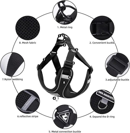 Dog Harness and Leash Set, Adjustable Triangle, Reflective Adjustable Puppy Vest, No Pull Soft Mesh Harness for Small, Medium Dogs, Cats (Black, XL)